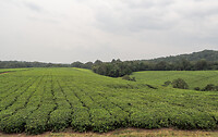 dscn8048