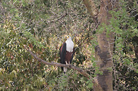 img_6727