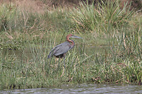 img_6737