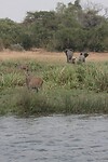 img_6755