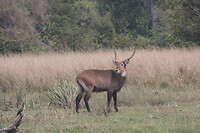 img_6769