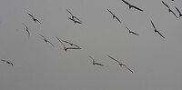 img_6814