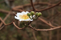 img_7662