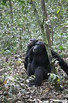 img_7715