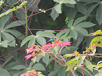 dscn8311