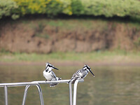 dscn8322