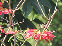 dscn8396
