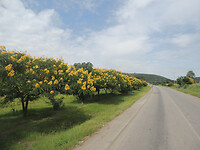 dscn8775