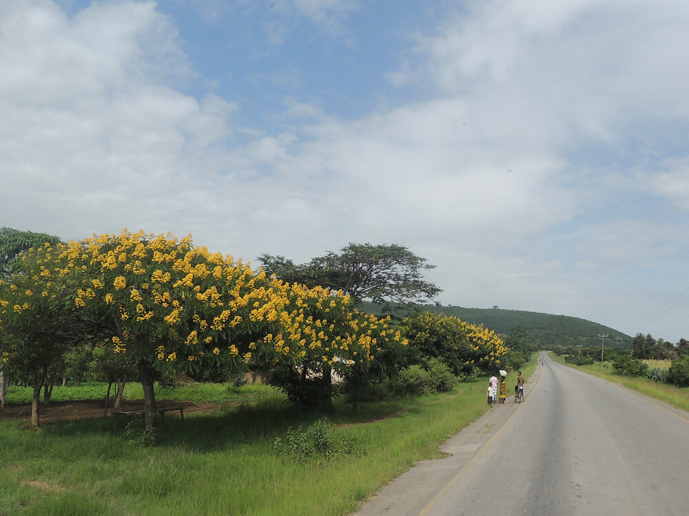 dscn8776