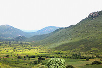 img_7987