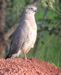 dscn8844