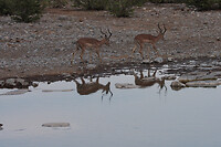 img_6998