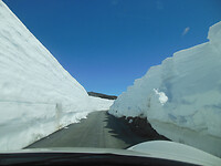 dscn3665_0