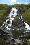 img_8420_0