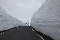 img_9110_0