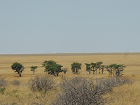 DSCN9800