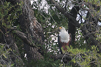IMG_7137