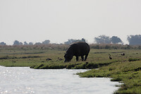 IMG_7190