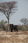 IMG_9476