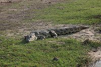 IMG_9554