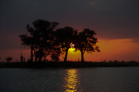 IMG_9581