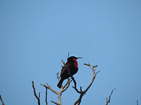 DSCN0589