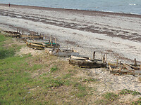DSCN0608