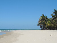 DSCN0753