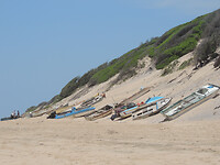 DSCN0877