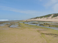 DSCN0885