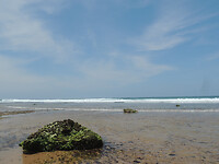 DSCN0893