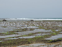 DSCN0912
