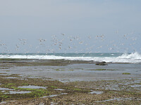 DSCN0914