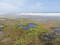 DSCN0924