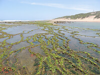 DSCN0929