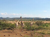 DSCN1417