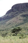 IMG_4851