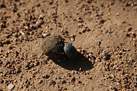 IMG_5001