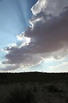 IMG_5055