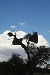 IMG_5060