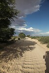 IMG_5083