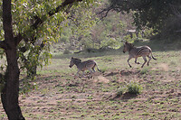 IMG_8040