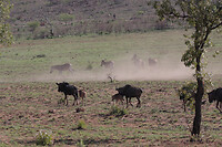 IMG_8044