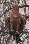 IMG_8087