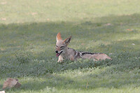 IMG_8135