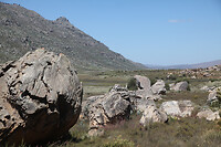 IMG_5608