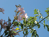 DSCN2307