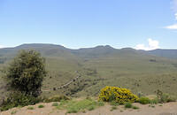 DSCN2314