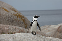 IMG_5753