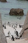 IMG_5779